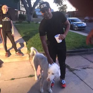 Meet your Posher, Elmer